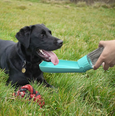 Dog Water Bottle – Easy hydration, anywhere, anytime