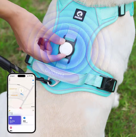 Anti-Zieh-Geschirr – Kontrolle, Komfort und Sicherheit beim Spaziergang